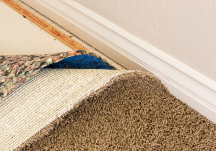 mildewAndOrderControlCarpetCleaning